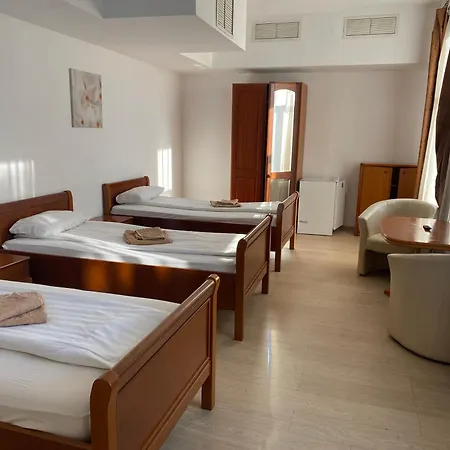 Pensiunea Elia Timişoara