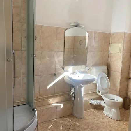 Pensionat Pensiunea Elia Timişoara