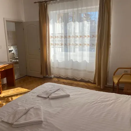 Pensionat Pensiunea Elia Timişoara