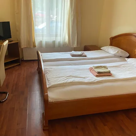 Pensiunea Elia Timişoara