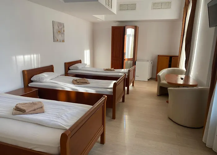 Pensiunea Elia Timişoara