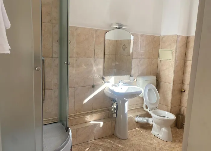 בית הארחה Pensiunea Elia טימישוארה