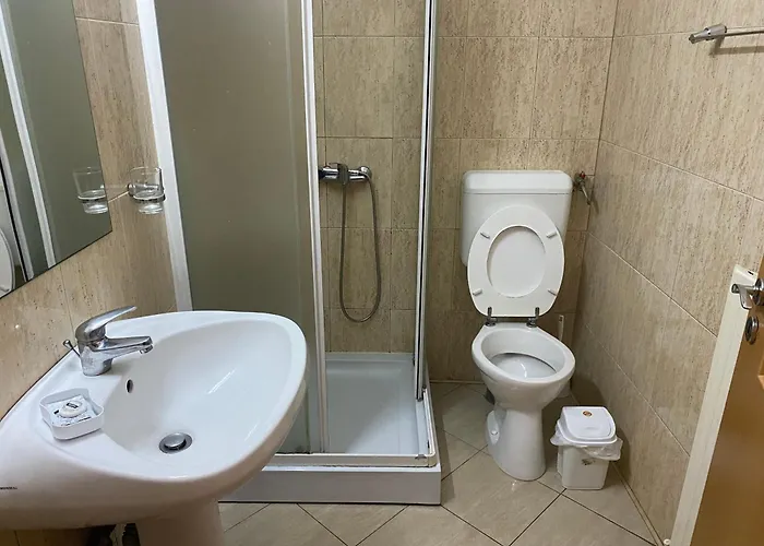 Pensiunea Elia * Timişoara