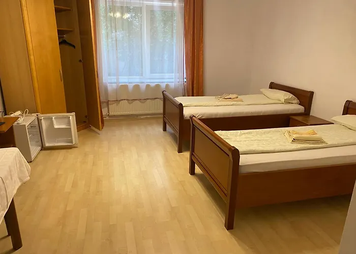 Pensionat Pensiunea Elia *