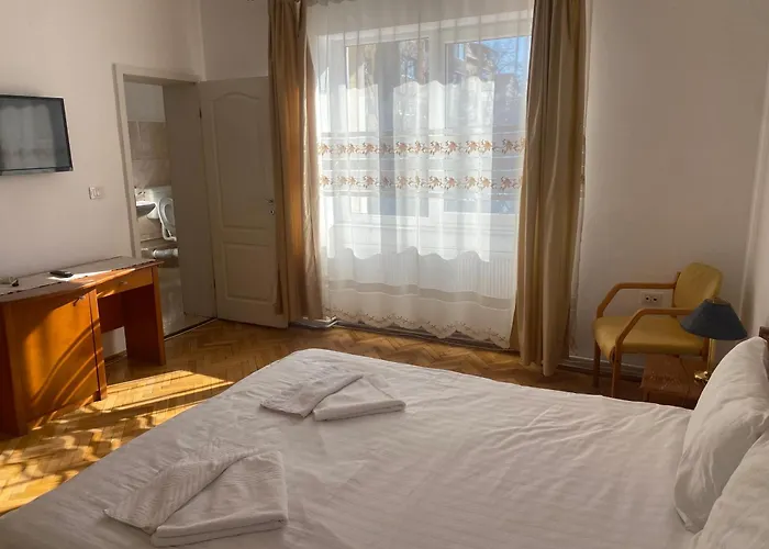 Pensionat Pensiunea Elia Timişoara