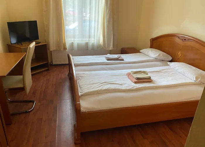 Pensiunea Elia Timişoara